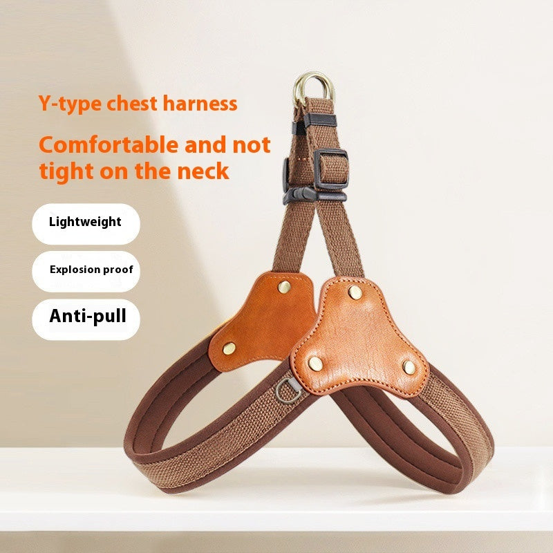 Unleash Adventure with the Leash Chest and Back Small Dog